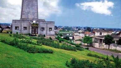 پاورپوینت تحلیل موزه چای گیلان